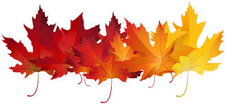 2017 FALL LEAVES